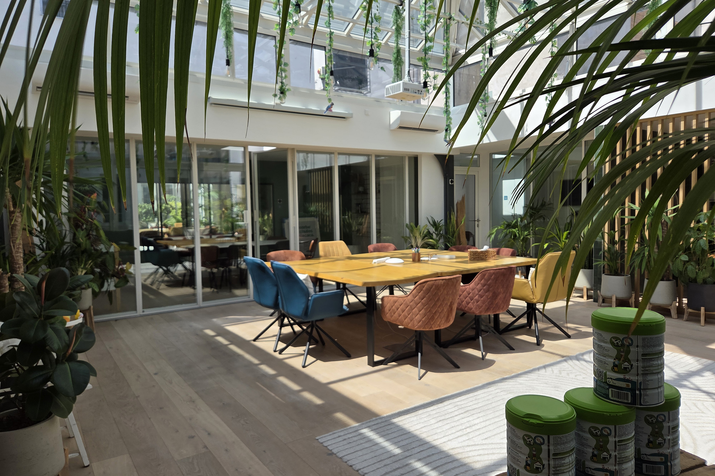 Open space entouré de végétation sous la verrière du siège social