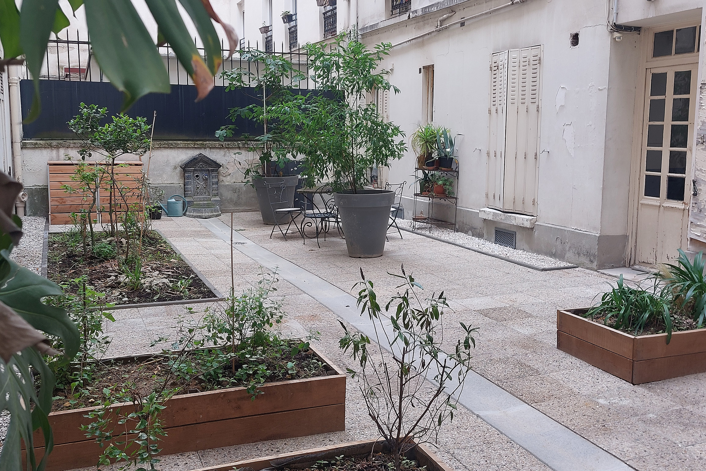 Réaménagement d’une cour commune végétalisée à Paris 17