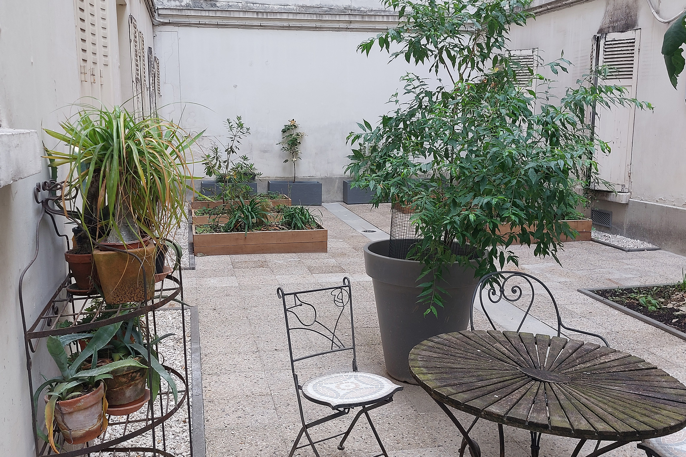 Cour commune réaménagée avec potager partagé à Paris 17