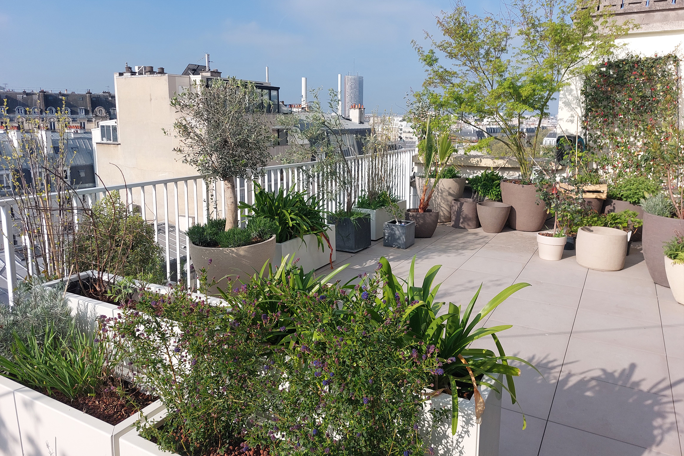 Terrasse accessible avec dalles sur plots après réfection de l'étanchéité