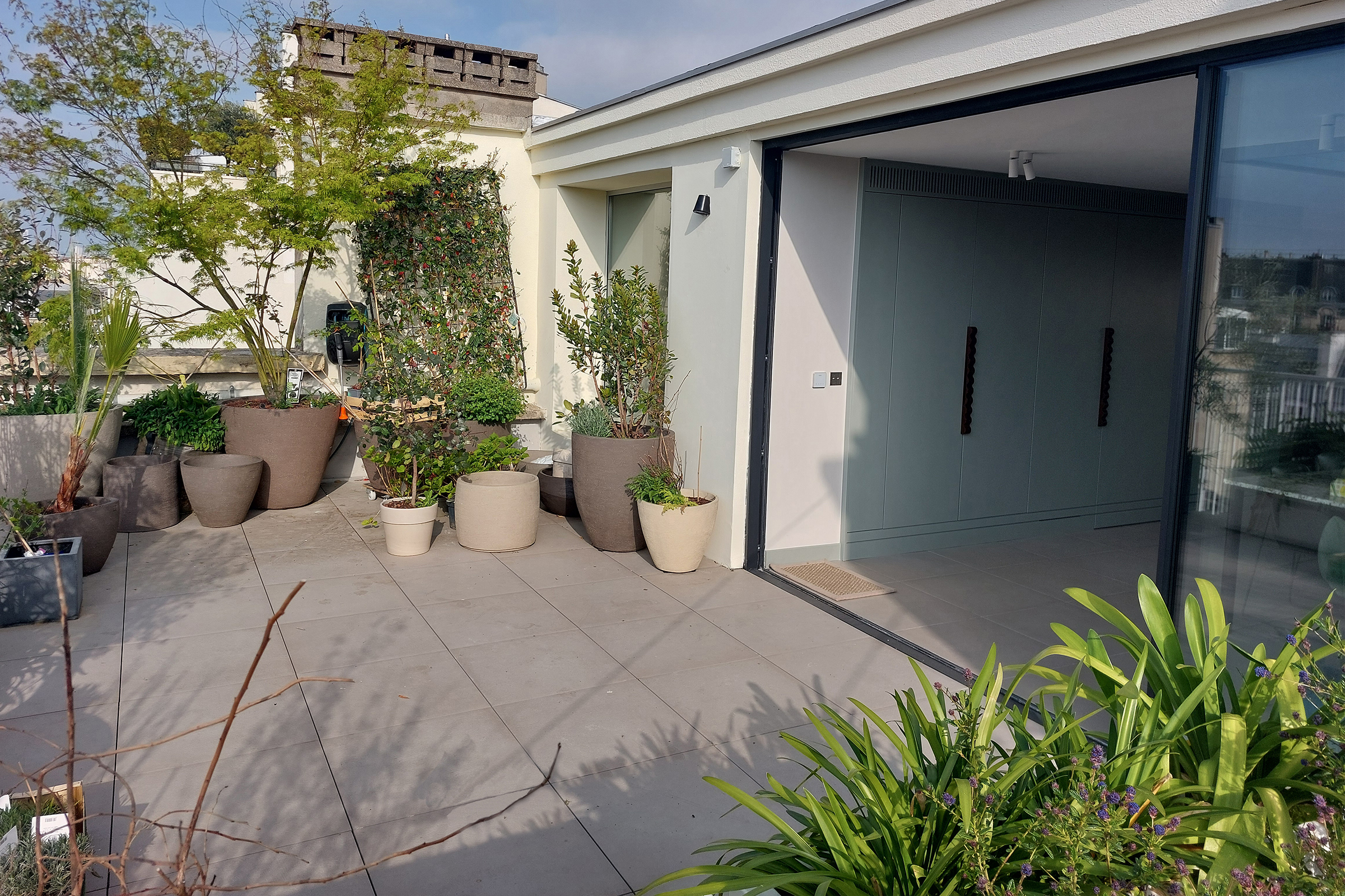 Terrasse végétalisée après réfection de l'étanchéité à Paris 17